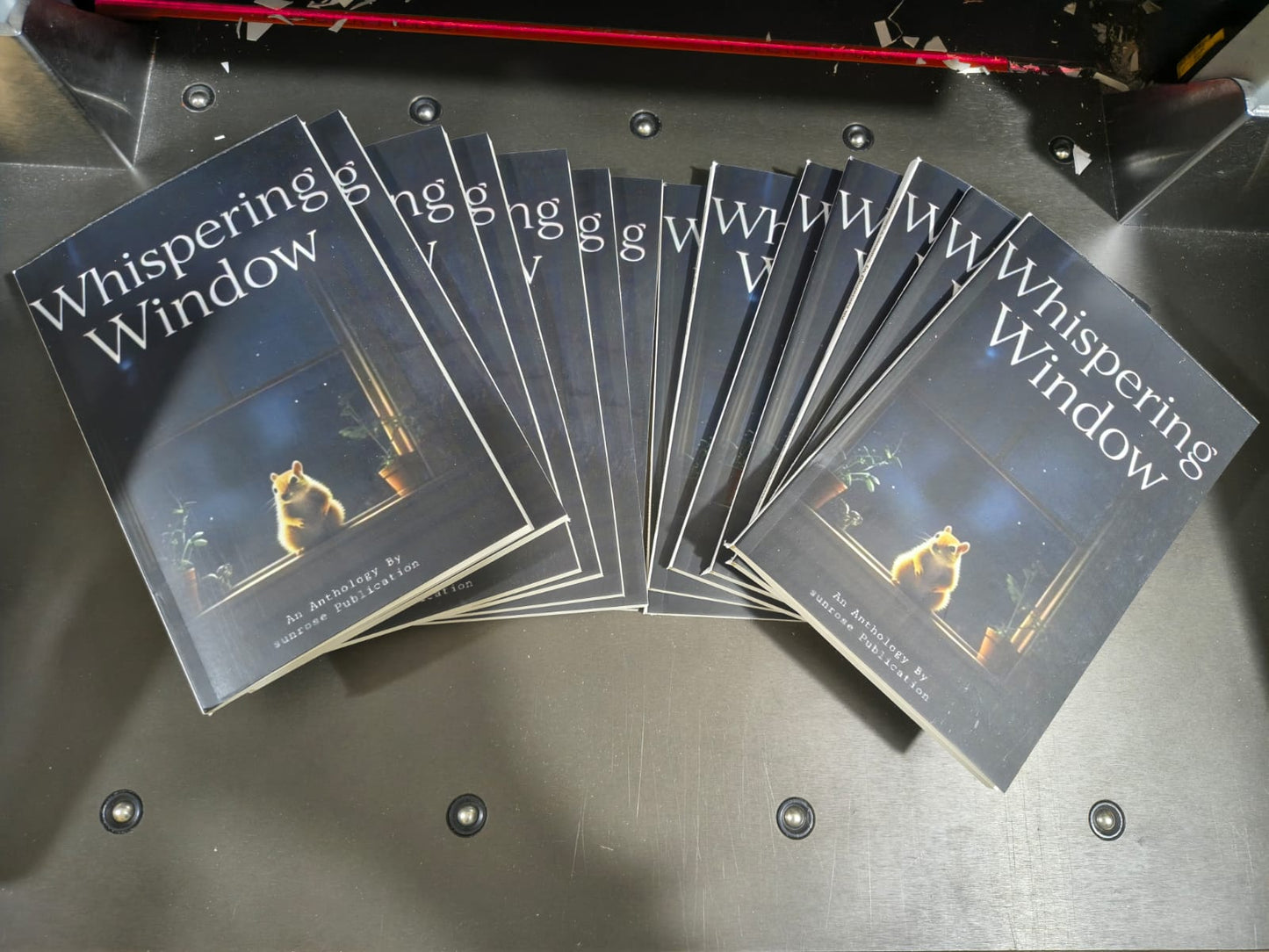 WHISPERING WINDOW PACK OF 2 BOOK 📚